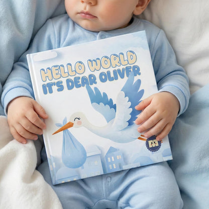 Personalized Baby Boy Book, Stork Illustration, Newborn Gift
