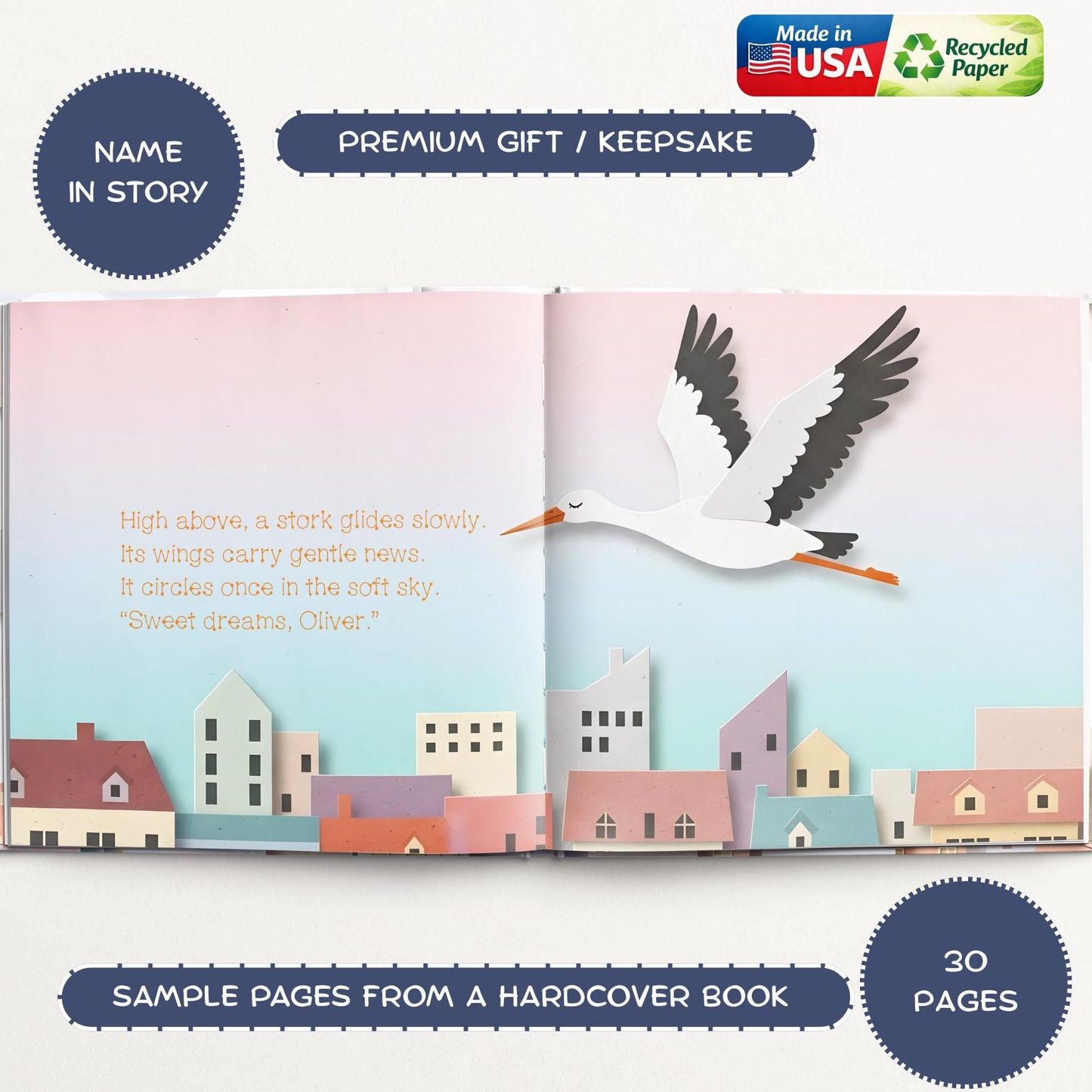 Personalized Baby Boy Book, Stork Illustration, Newborn Gift